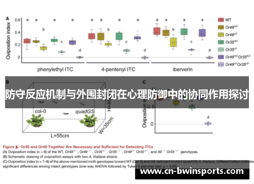 防守反应机制与外围封闭在心理防御中的协同作用探讨