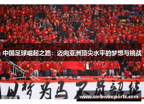 中国足球崛起之路：迈向亚洲顶尖水平的梦想与挑战
